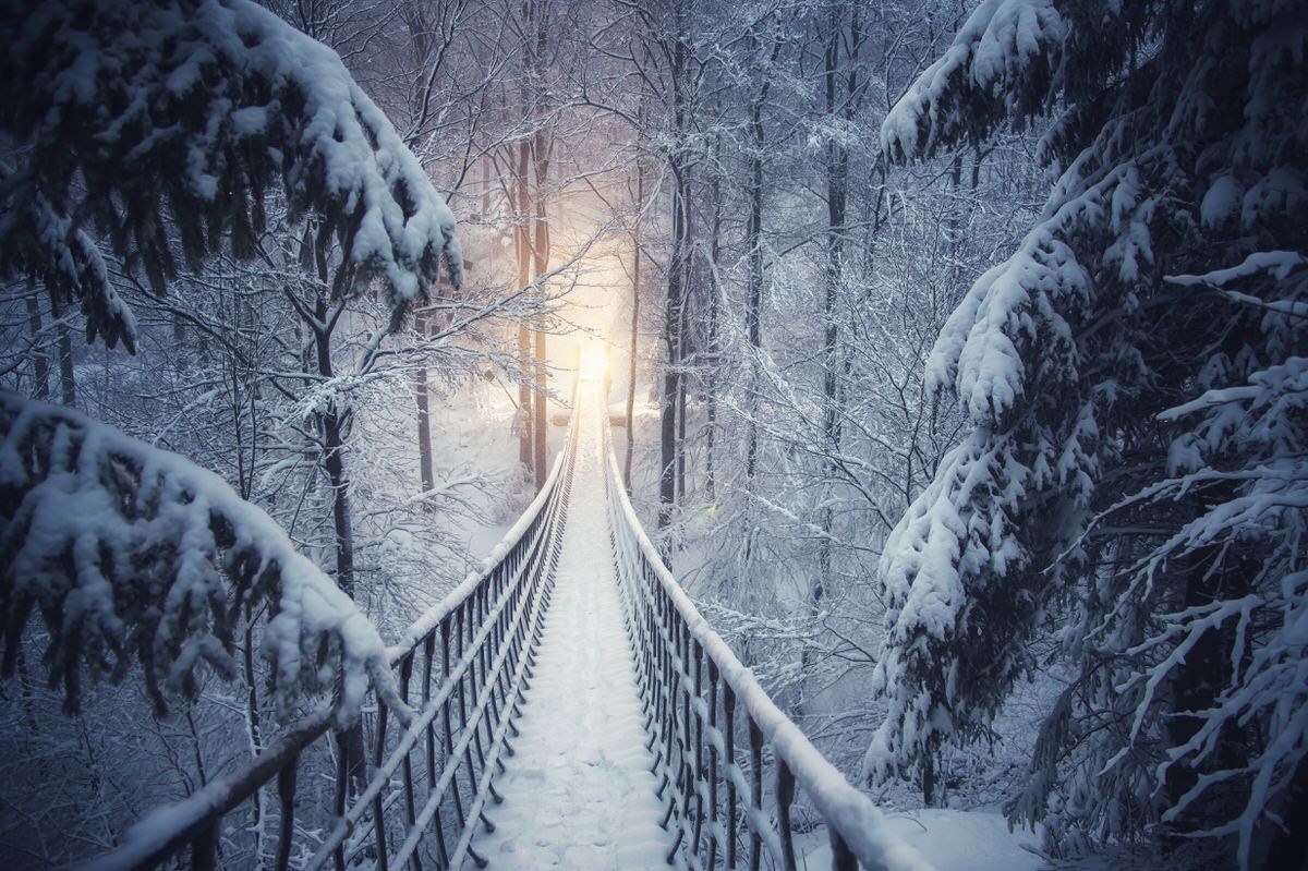 Im verschneiten Winterwald hängt eine Seilbrücke. Verschneite Tannenbäume säumen den Pfad. Brücke vom Rothaarsteig im Sauerland.